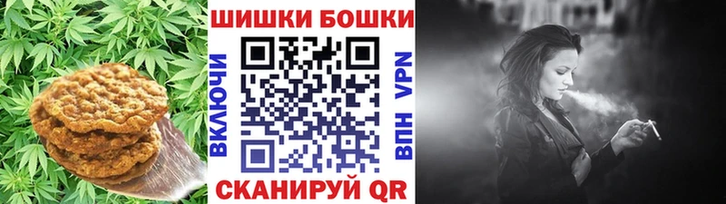 Купить закладки  Бор  Canna-Cookies конопля 