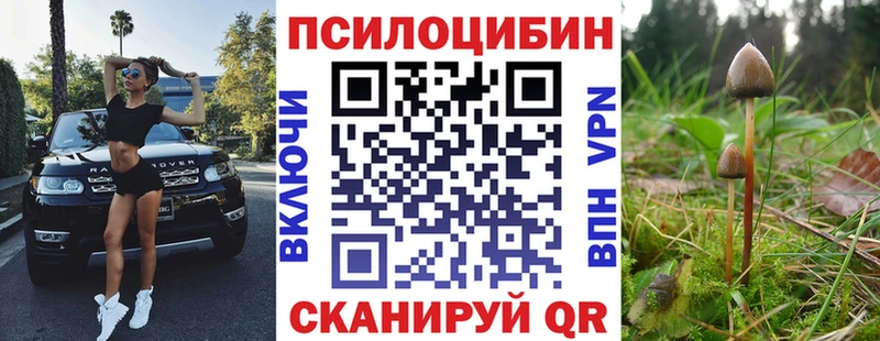 Псилоцибиновые грибы мицелий  Купить  Бор 